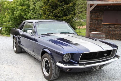 1967 Ford Mustang 289